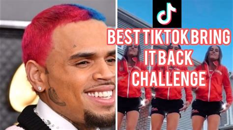 chris brown tiktok song